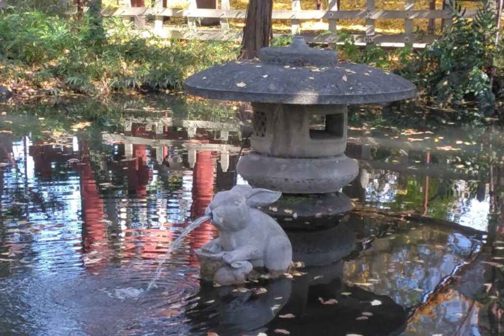 池のうさぎ