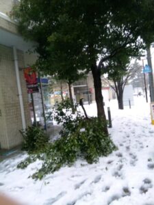 大雪になりました